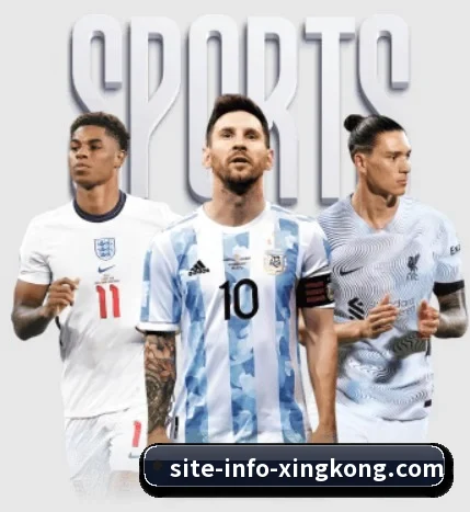 每个板块围绕一个运动项目展开 - xingkong.com
