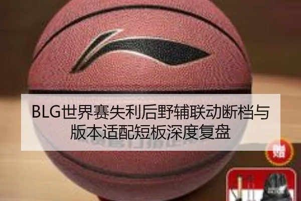BLG世界赛失利后野辅联动断档与版本适配短板深度复盘 | xingkong.com